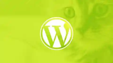 WordPress for Beginners: Create a Website Step by Step شروع کار با وردپرس (Wordpress)
