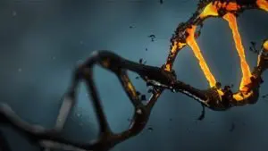 تجزیه و تحلیل کامل داده های RNA-seq بدون نیاز به کد نویسی