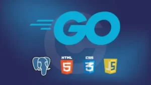 آموزش پروژه محور ساخت برنامه وب با Go مقدماتی - دانلود Building Modern Web Applications with Go (Golang)