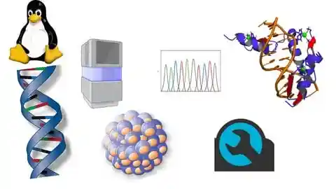 Bioinformatics: Learn NGS Data Analysis From Scratch آموزش تحلیل دادههای NGS انسانی با بیوانفورماتیک از صفر تا حرفهای