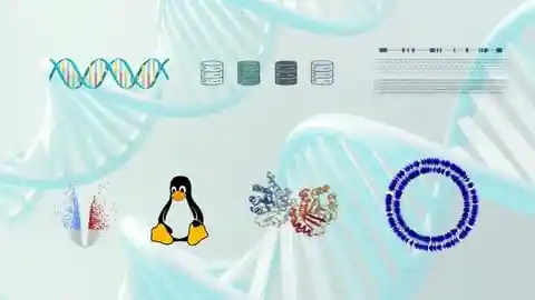 Learn Bioinformatics – Beginner to Master Through Projects آموزش بیوانفورماتیک از مبتدی تا حرفهای با پروژه