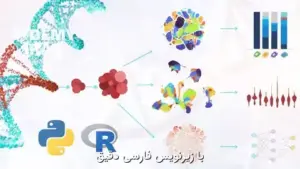 آموزش جامع تحلیل داده‌های Single-Cell RNA-Seq با R و پایتون
