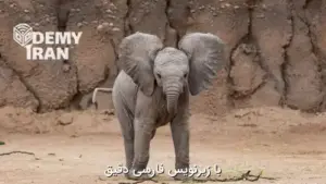 آموزش مدیریت و عیب‌یابی انواع Replication در PostgreSQL قسمت دوم
