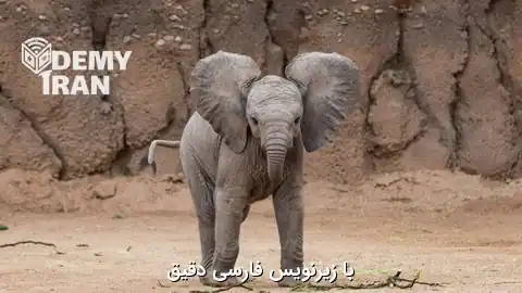 آموزش مدیریت و عیب‌یابی انواع Replication در PostgreSQL قسمت دوم