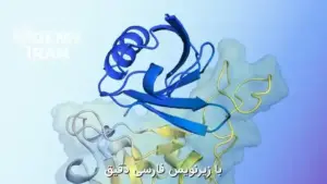 آموزش پیش‌بینی محاسباتی ساختار سه‌ بعدی پروتئین‌ ها