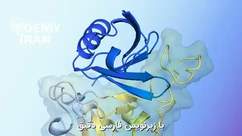 آموزش پیش‌بینی محاسباتی ساختار سه‌ بعدی پروتئین‌ ها